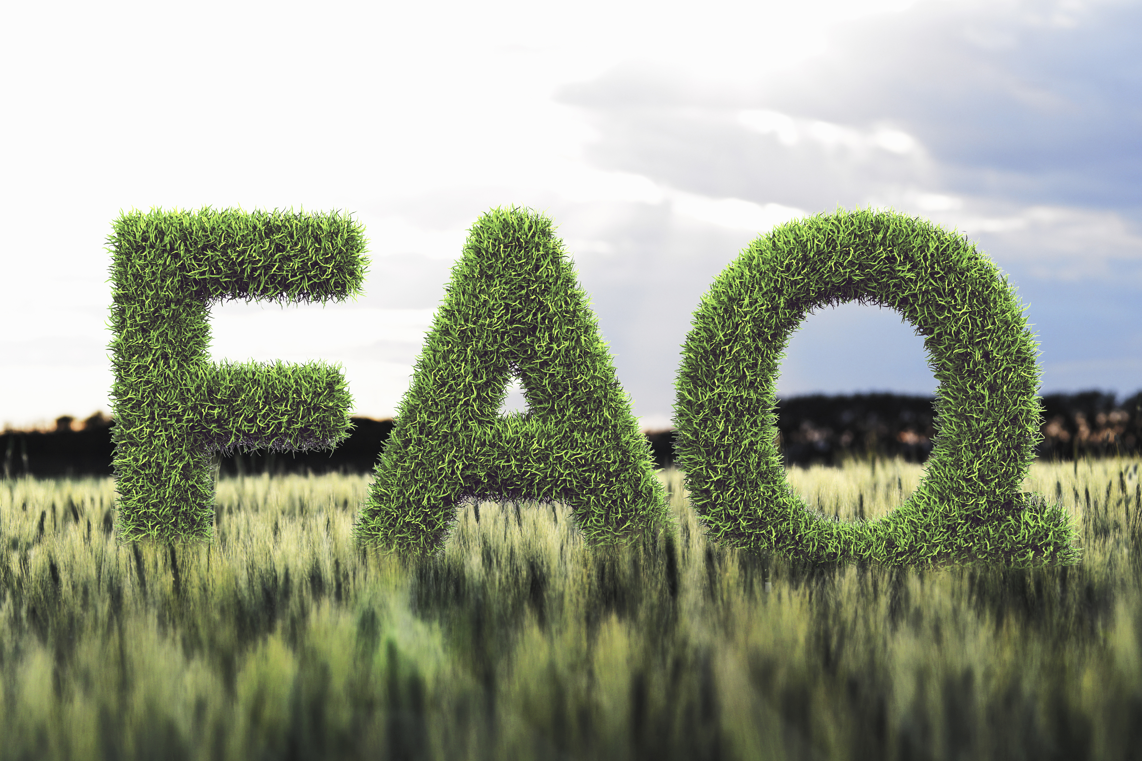 Cannabis FAQ - F A Q sign in a field